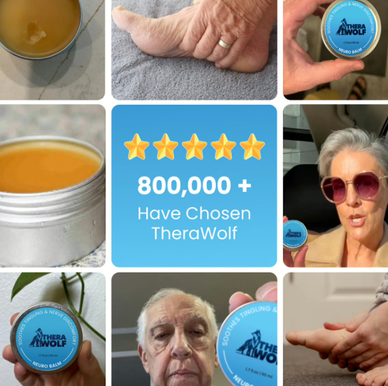 TheraWolf Anwender und Produktübersicht